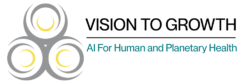 Vision to Growth